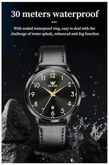 Men's Analog Quartz Watch with Leather Strap and Date Display